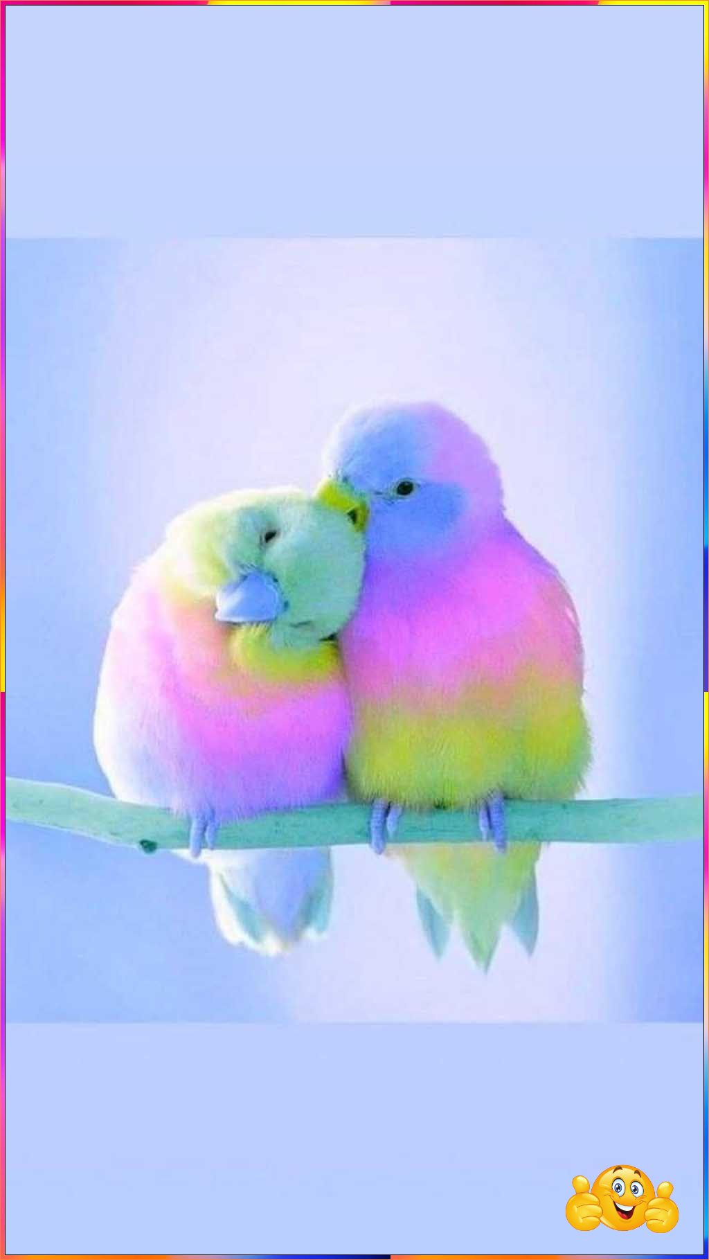 cute wallpapers
