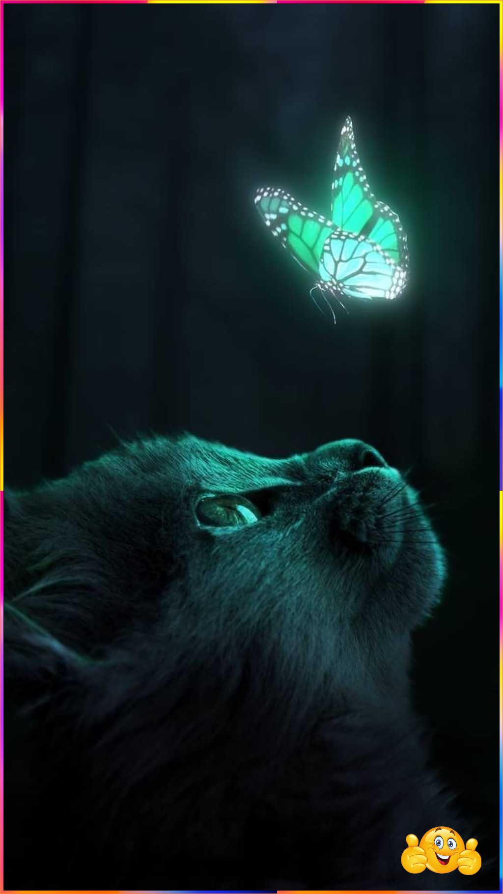 cute animal wallpaper