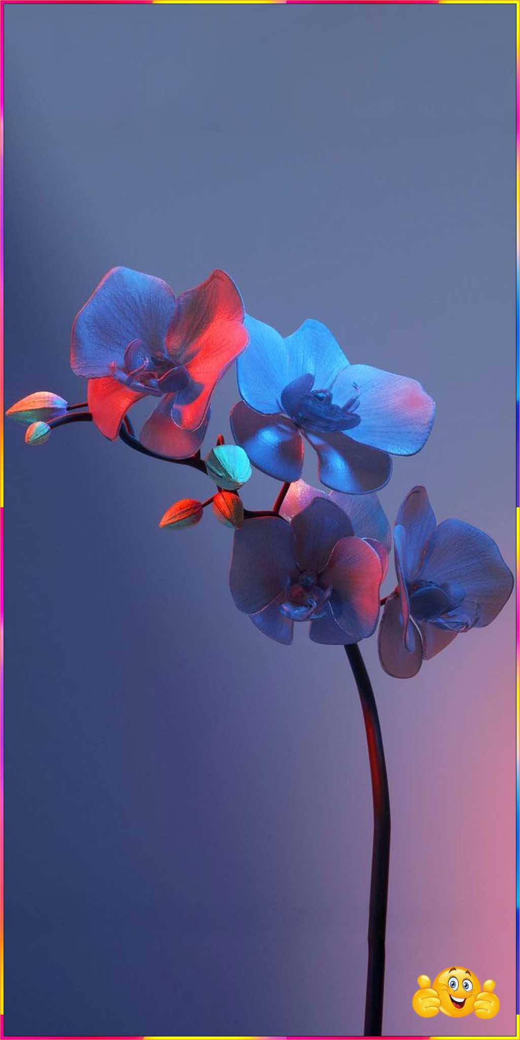 cute flower wallpaper