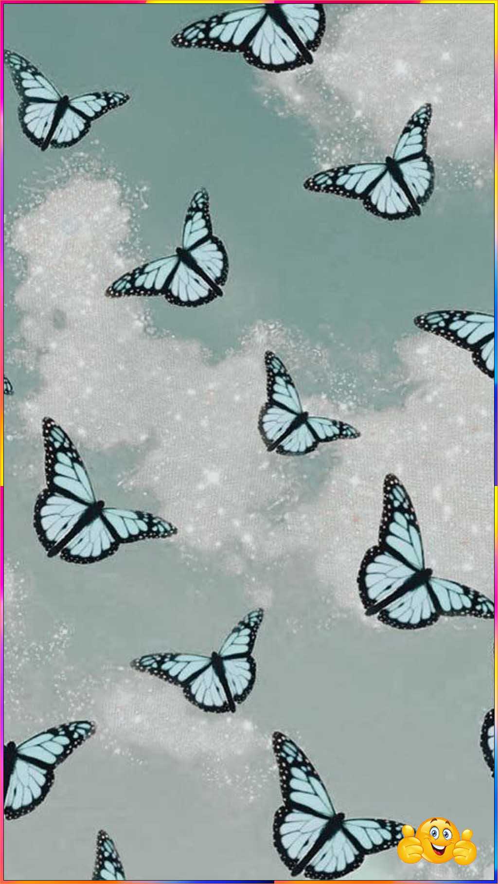 cute butterfly pictures for wallpaper