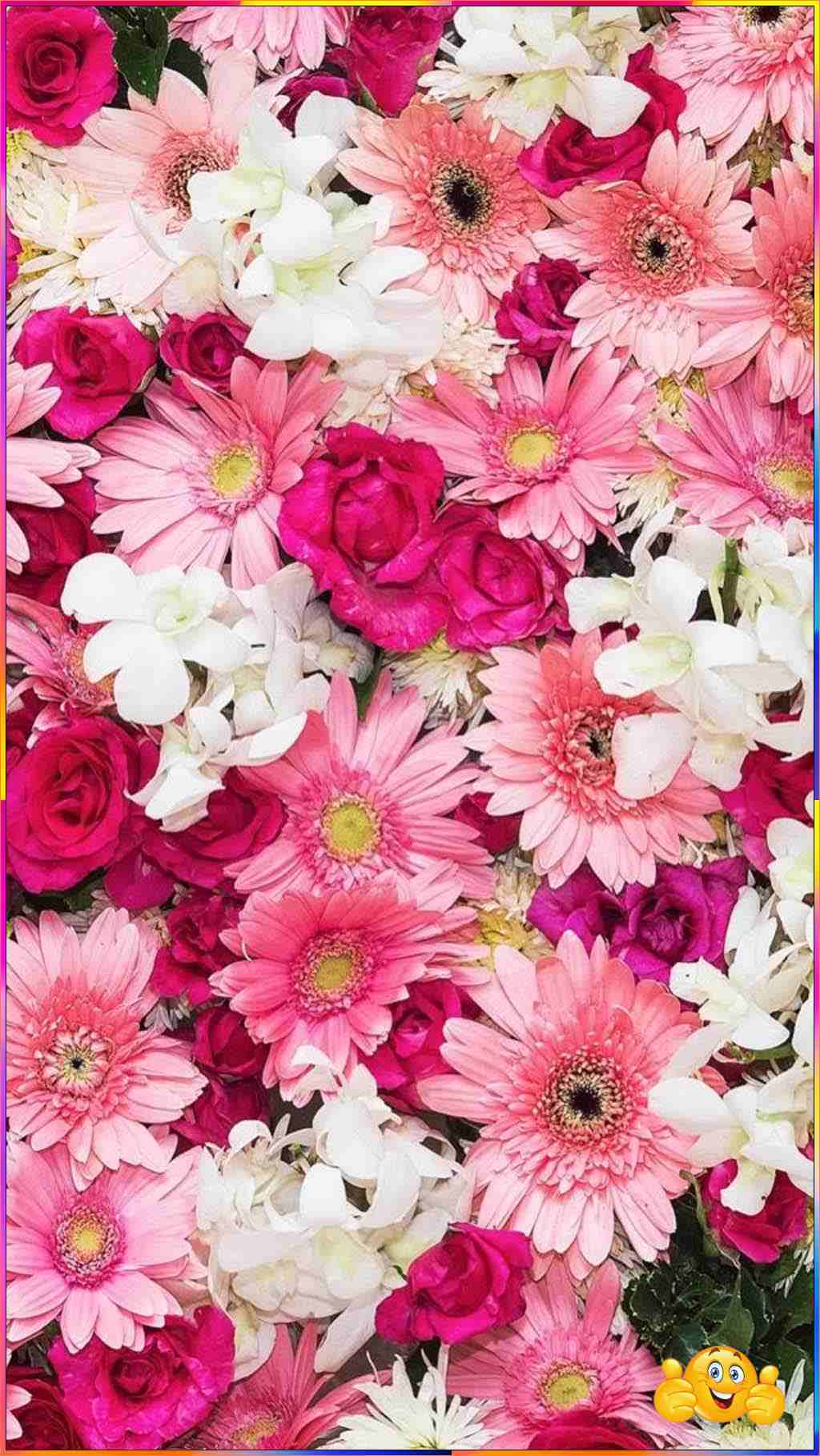 a cute flowers collection wallpaper
