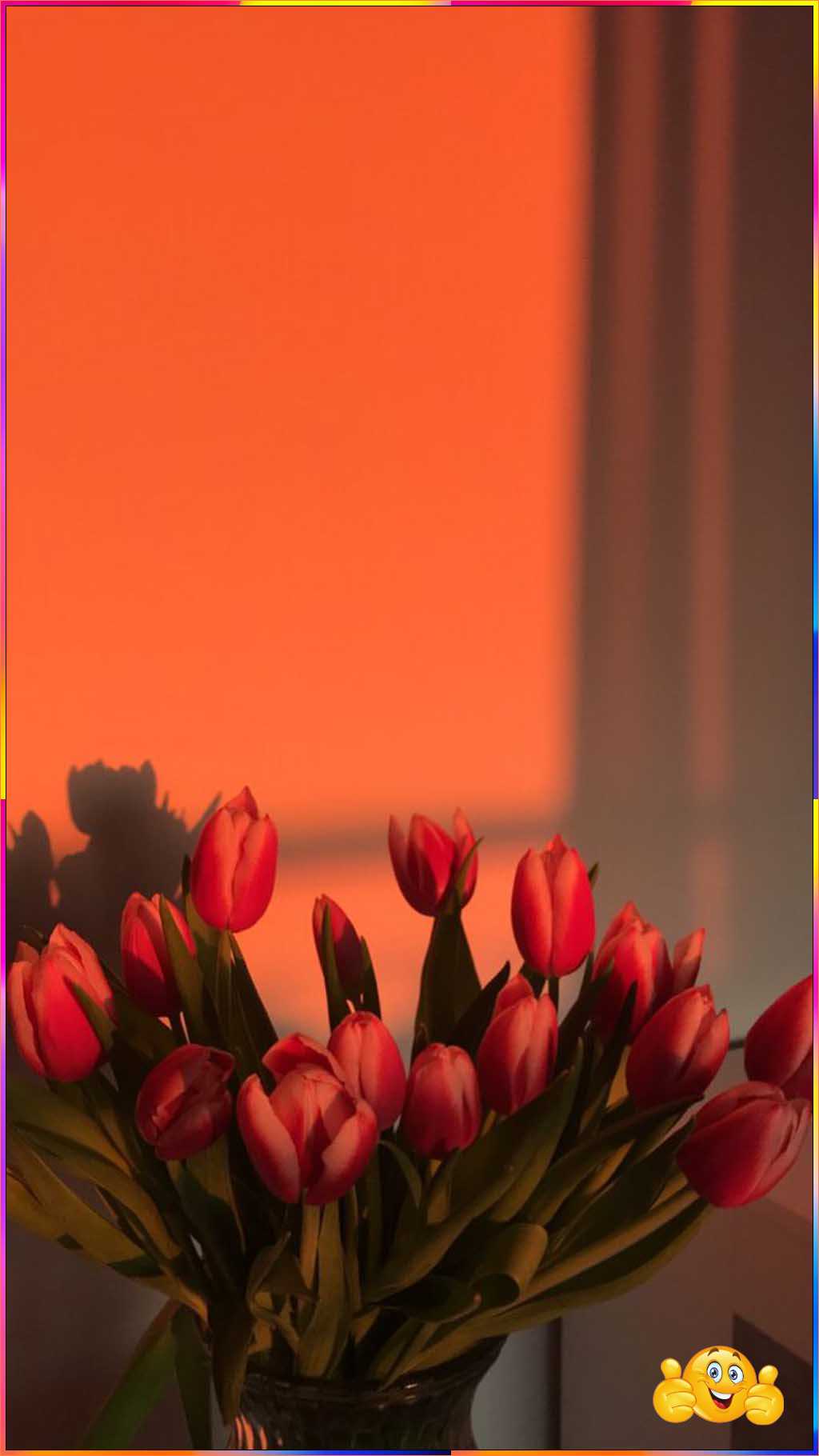 cute flower wallpapers