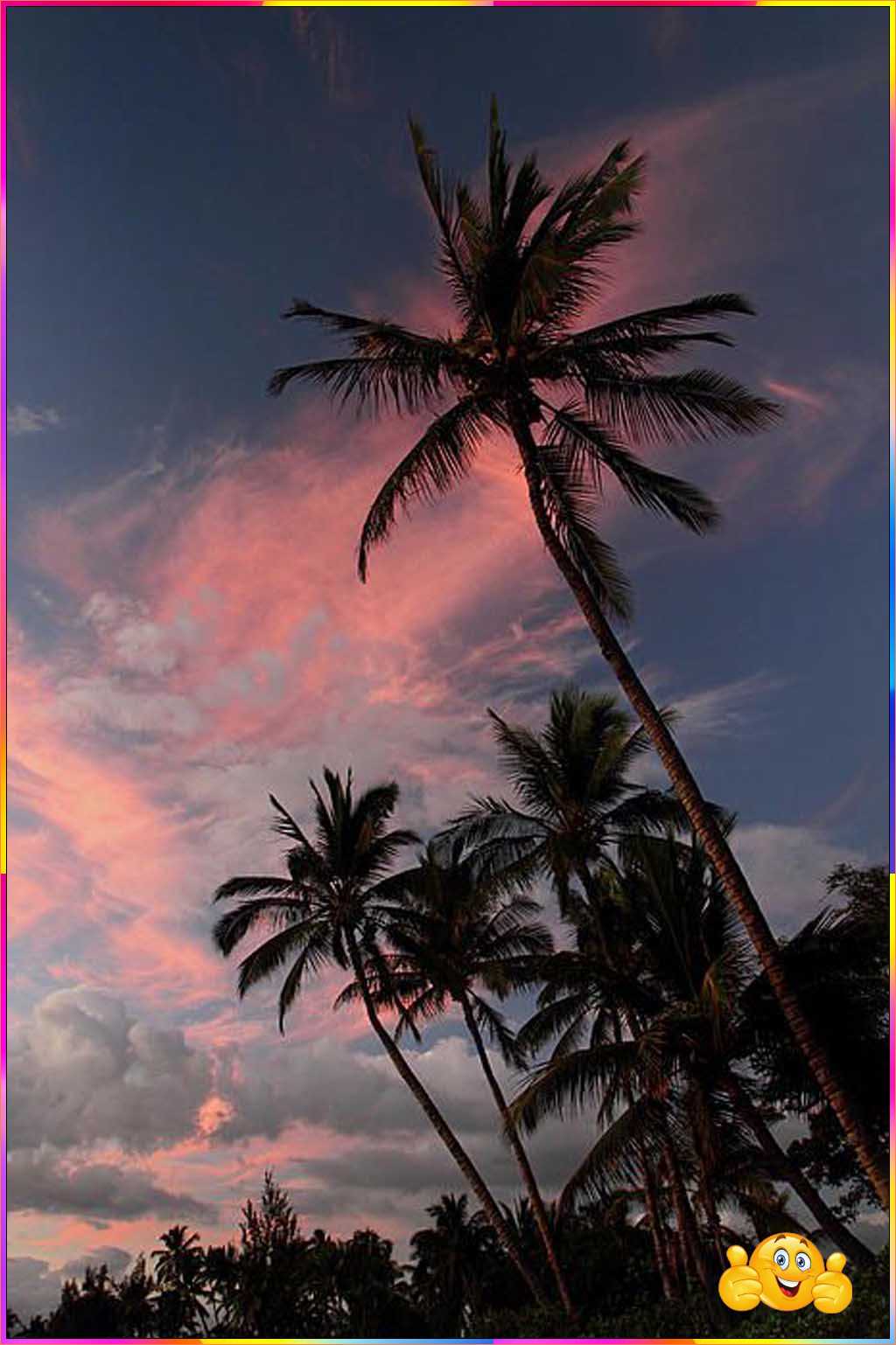 cute evening wallpapers for phone