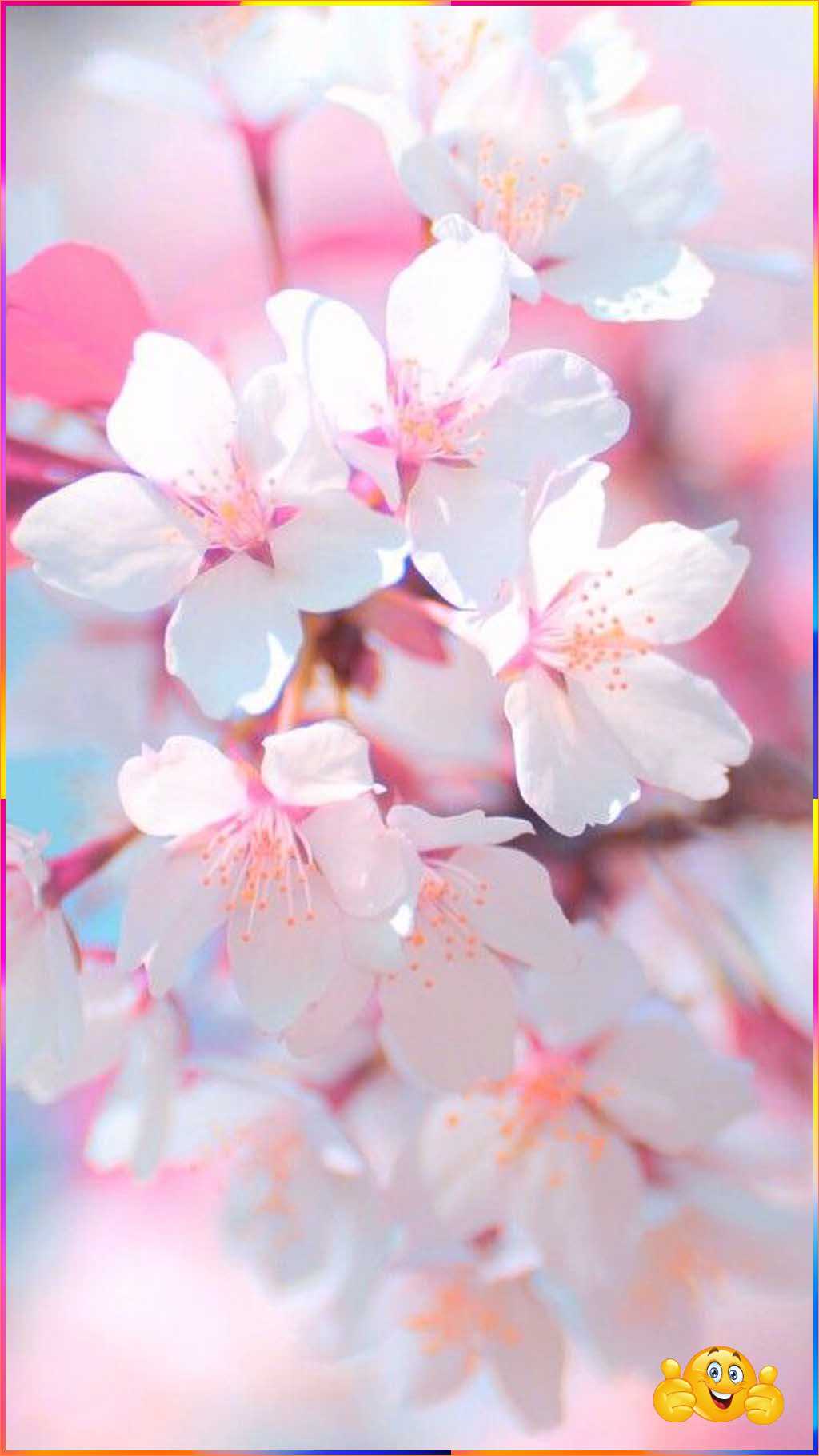 cool cute flower wallpaper