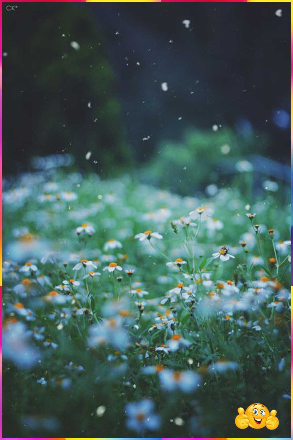 cool cute wallpaper
