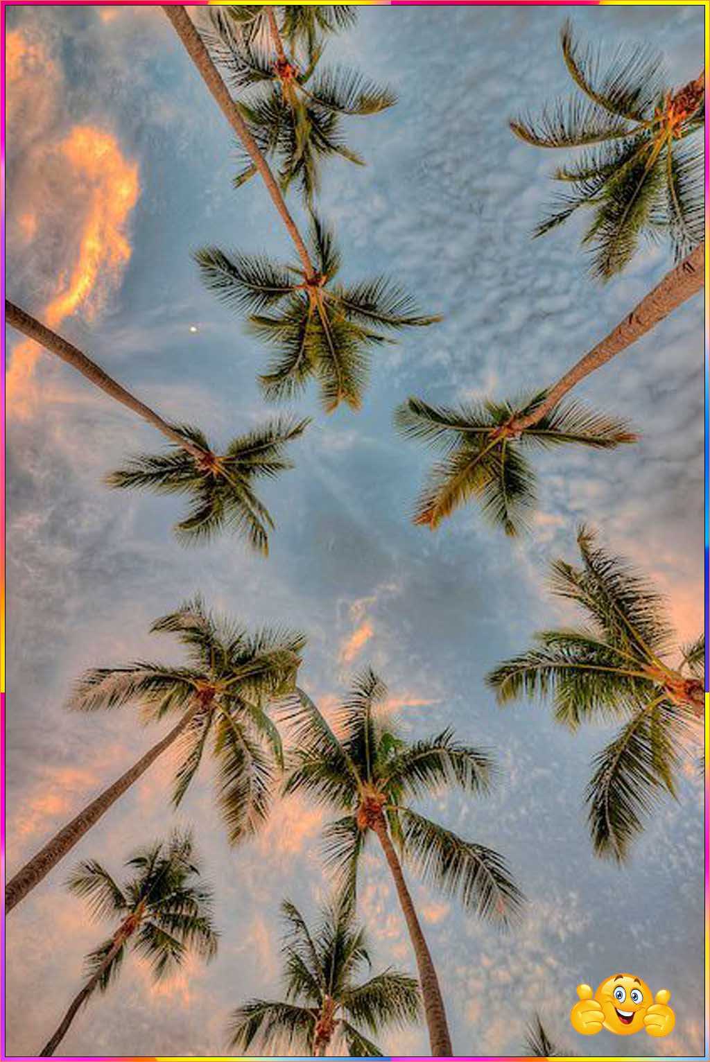 cute tree wallpaper