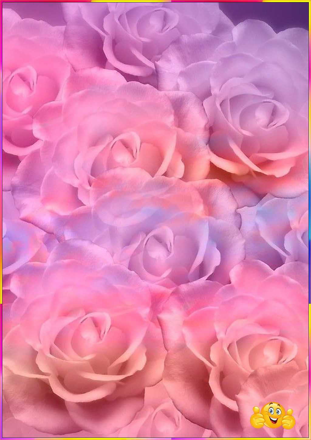 cool cute flower wallpaper
