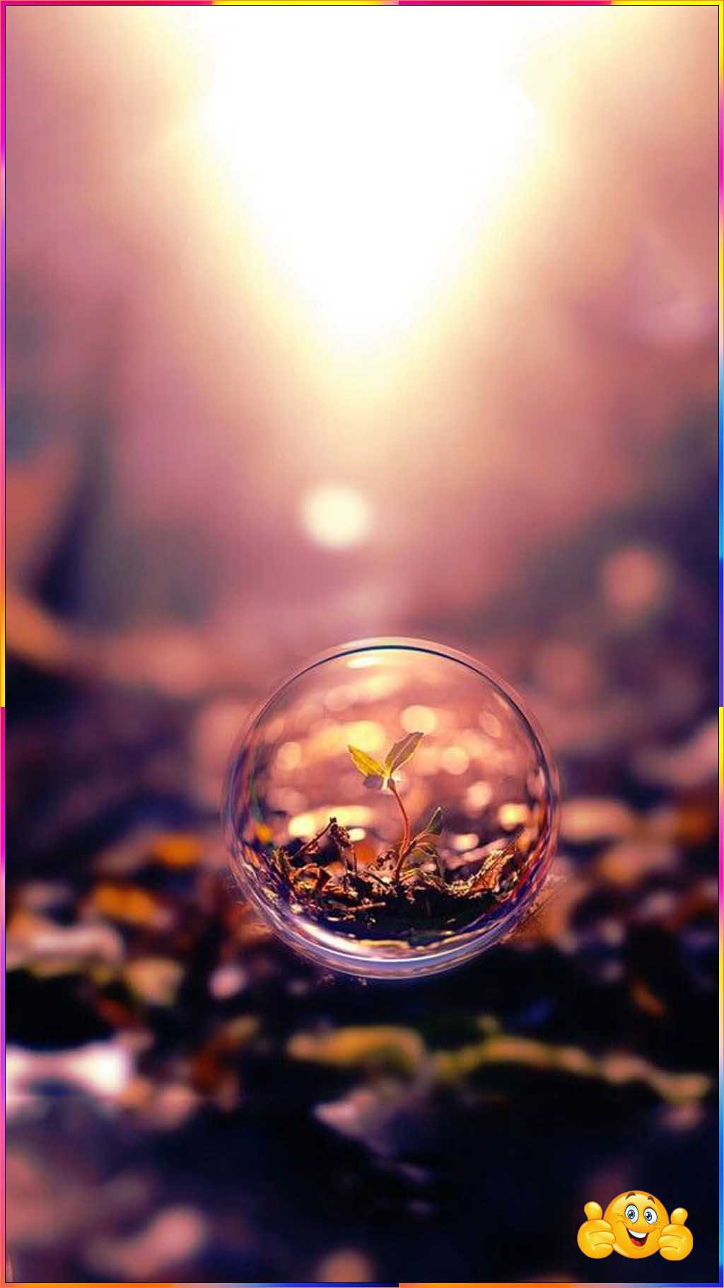 cute wallpaper