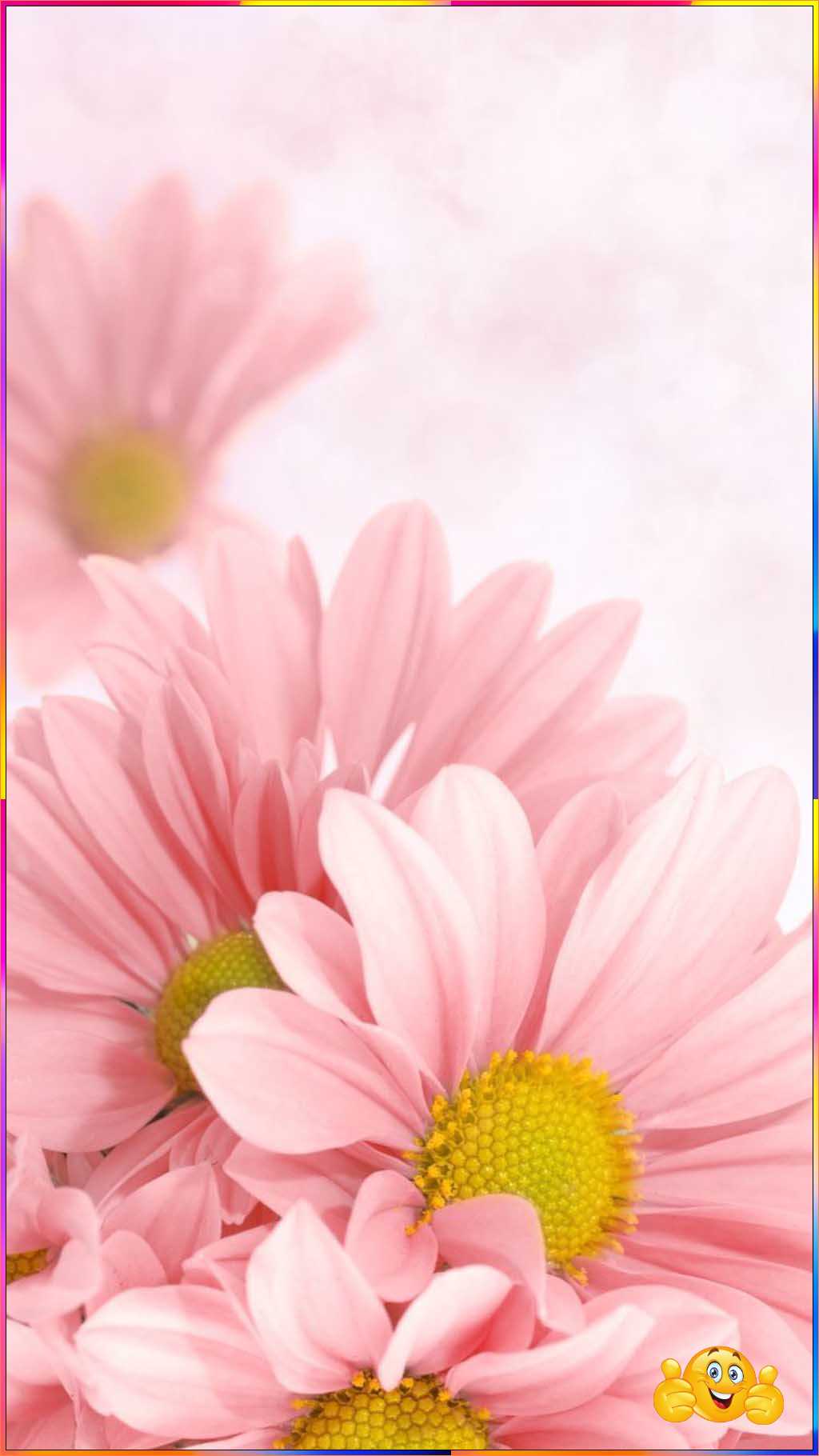 cute pictures for wallpaper