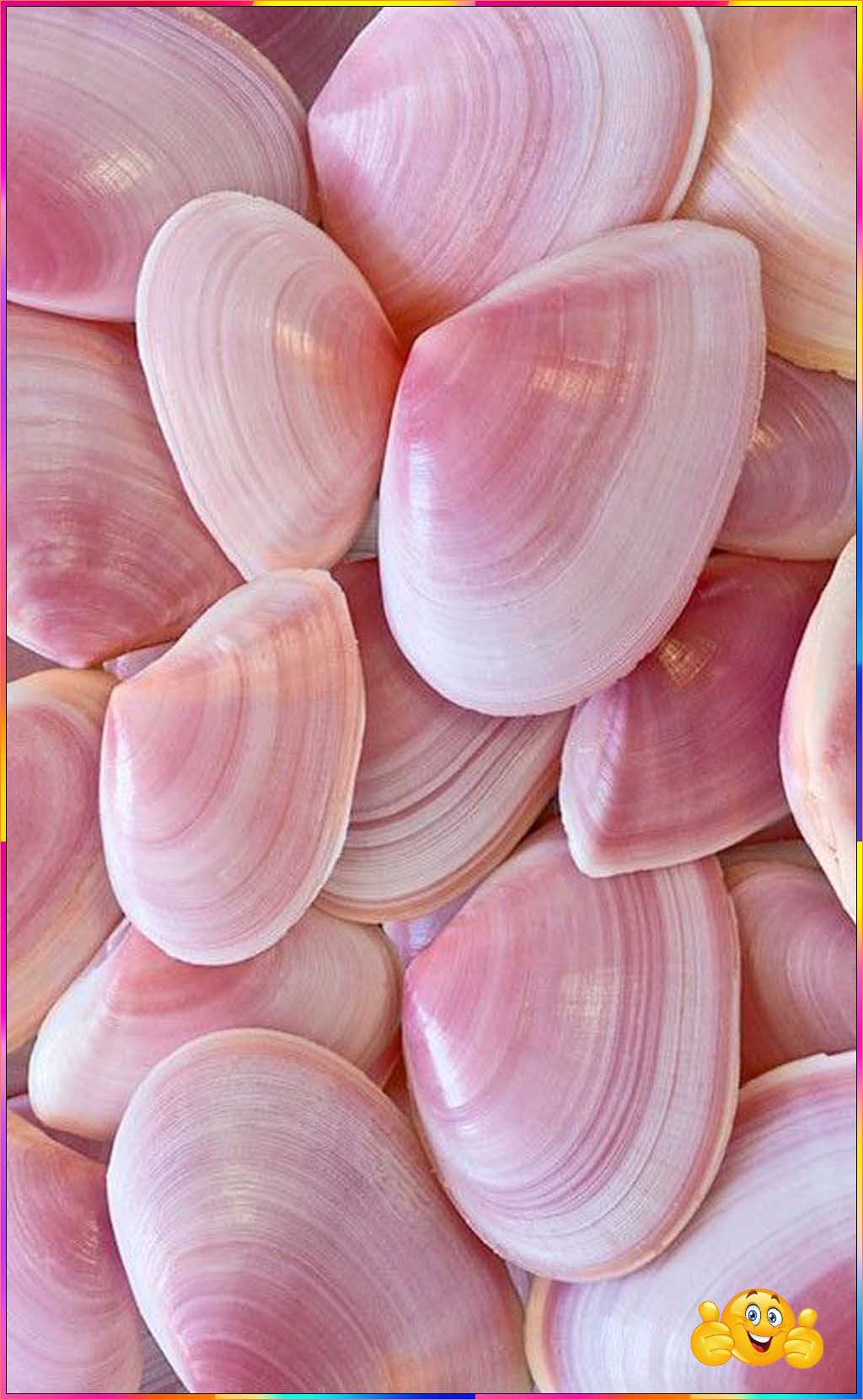 cute wallpaper