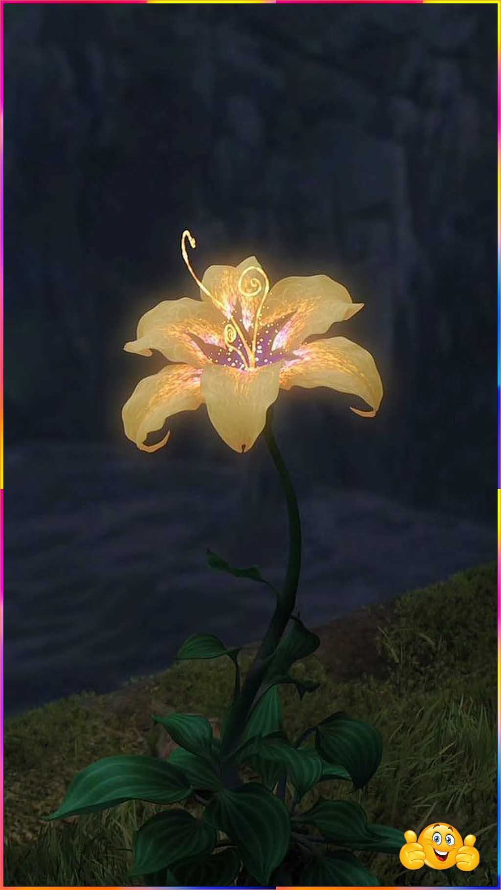 cute shining flower wallpaper