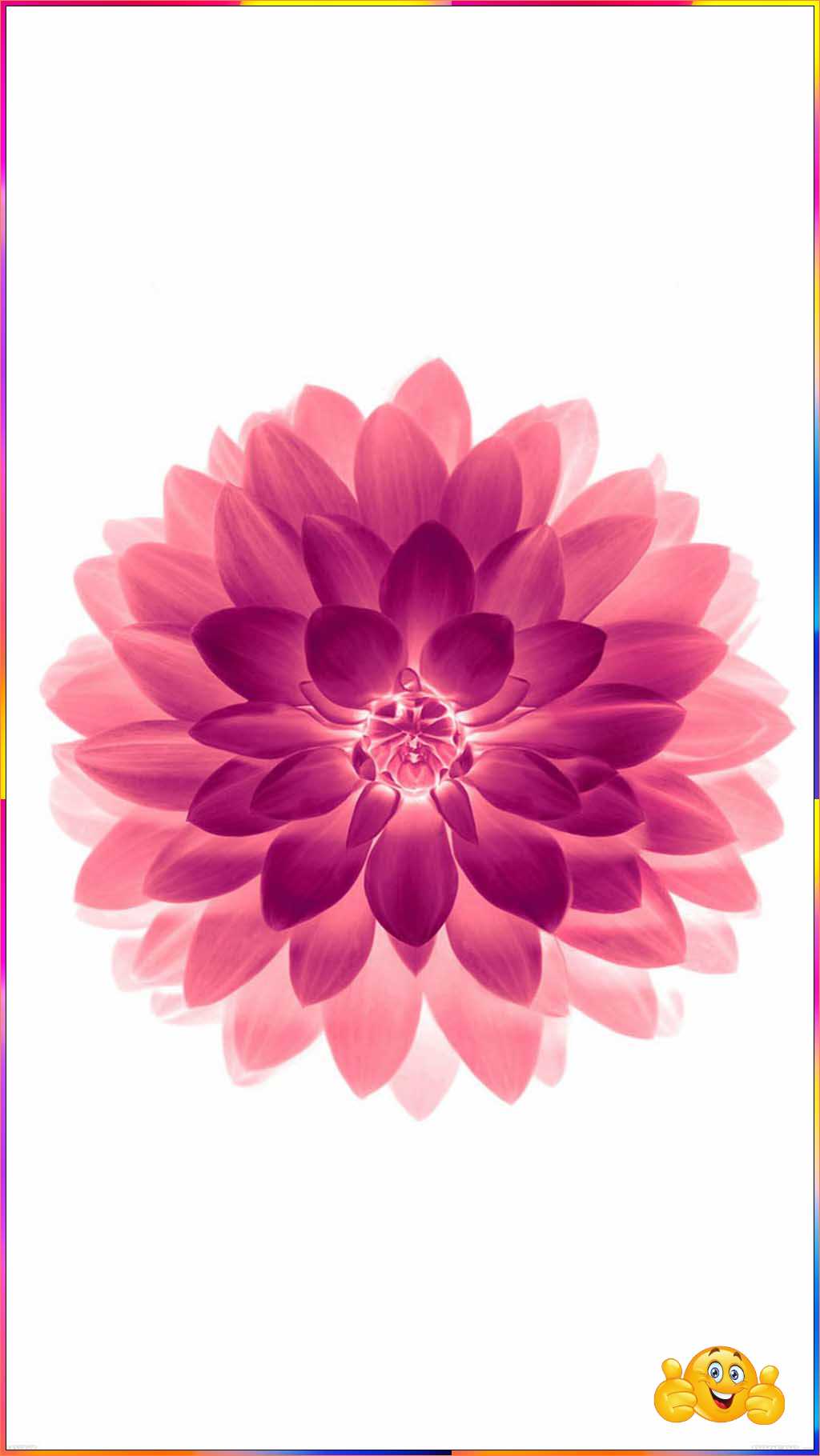 cute hd wallpapers