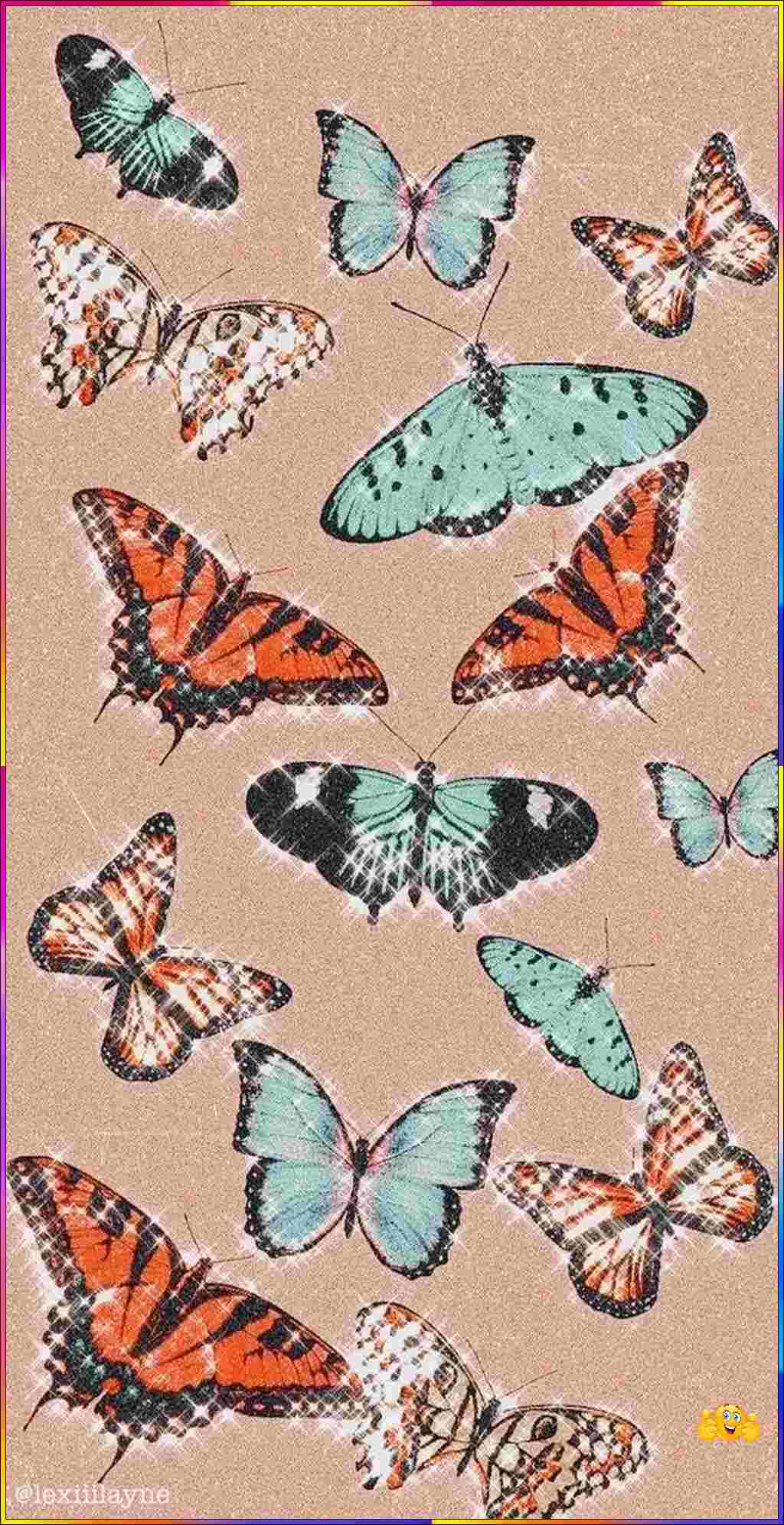 cute butterfly wallpaper