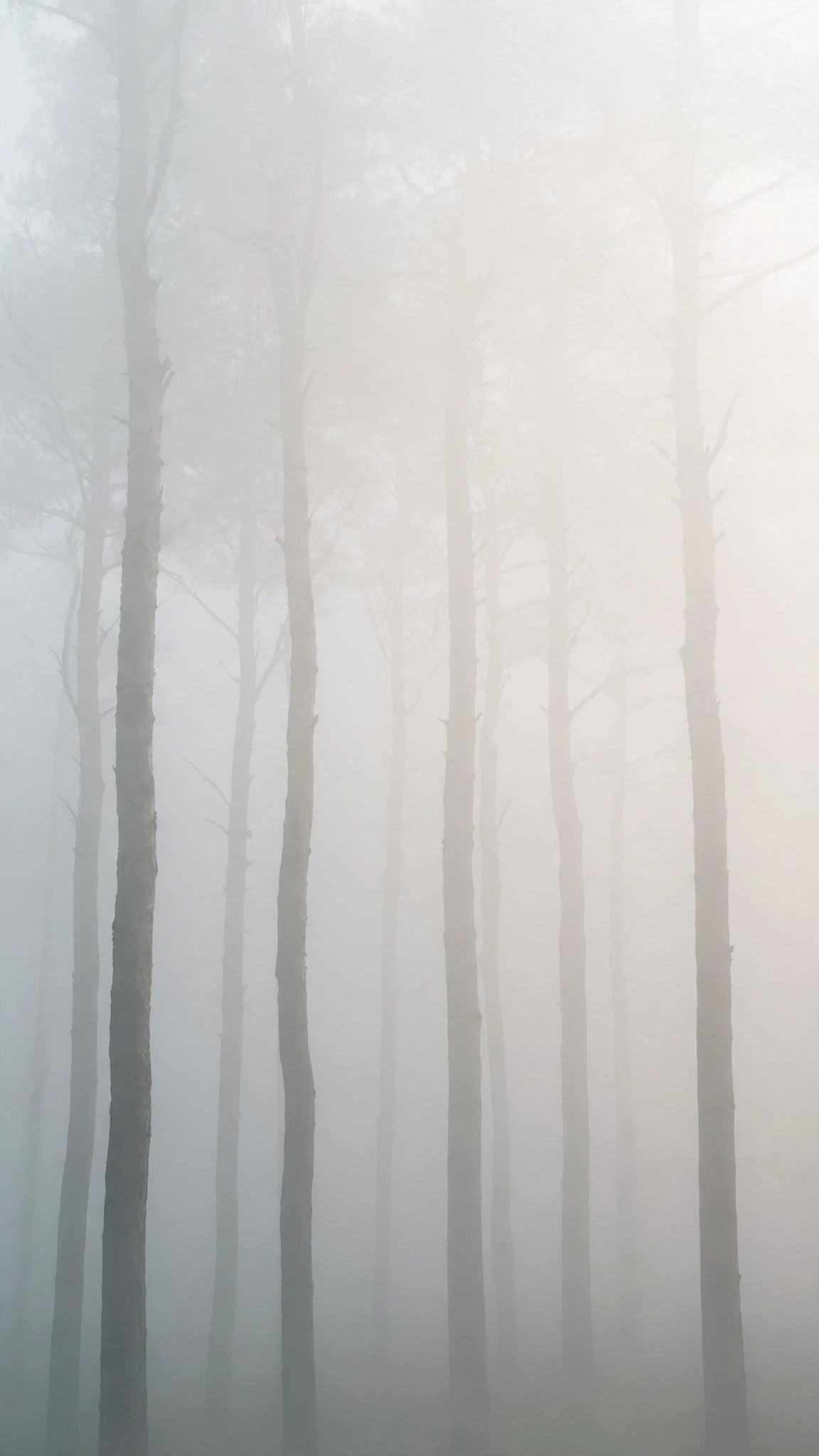 Modern minimal art phone background